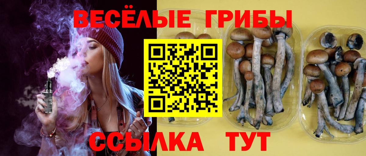 Псилоцибиновые грибы Psilocybine cubensis  Вход с VPN  Астрахань  Галлюциногенные грибы Magic Shrooms 